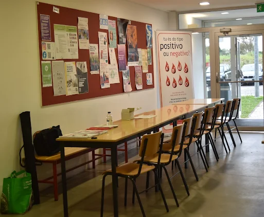 ESSUA SOLIDÁRIA ATÉ DIZER BASTA! (Fotos)