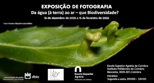16 de dezembro de 2025 a 15 de fevereiro de 2026 | 09h00 – 18h00| Escola Superior Agrária de Coimbra, corredor do edifício principal. Exposição de Fotografia “Da água (à terra) ao ar – que Biodiversidade?”