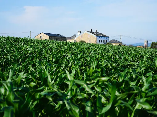 O Fundo da Airbnb para a comunidade atribui mais de 2 milhões de dólares a 28 organizações na Europa