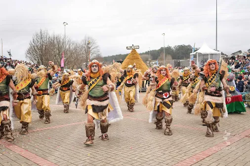 “Vai Quem Quer” e “Zsazsa’s” são os campeões do Carnaval de Estarreja 2026