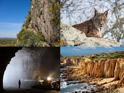 Geoparque Algarvensis reconhecido como Geoparque Mundial da UNESCO