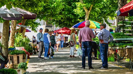 Feira de Maio em Oliveira de Frades (Fotorreportagem)