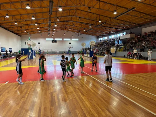 FESTA DO MINIBASQUETE DO DISTRITO DE COIMBRA VOLTA A SER EFECTUADA EM CANTANHEDE