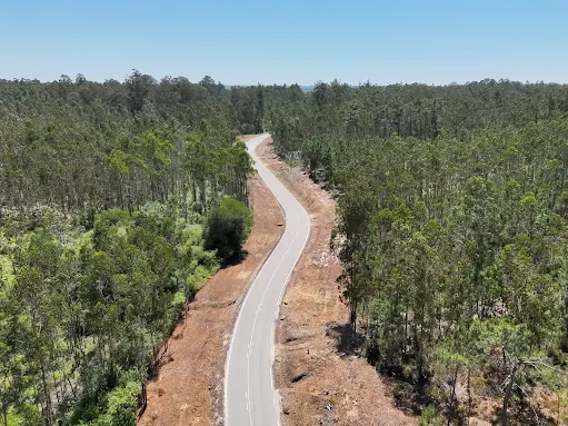 Executados nesta fase um total de 218 hectares de terreno. Trabalhos de gestão de combustível nas faixas associadas à rede rodoviária em fase de conclusão