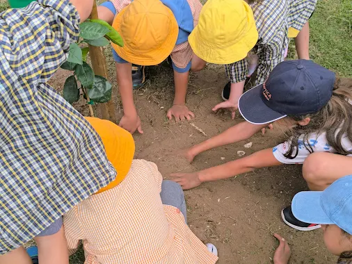 Marinha Grande | PLANTAÇÃO DE ÁRVORES DE FRUTO PROMOVE EDUCAÇÃO ALIMENTAR E AMBIENTAL NA EB DE CASAL DE MALTA