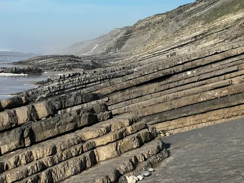 Arribas de São Pedro de Moel guardam o registo geológico mais completo do mundo de um período crítico do Jurássico