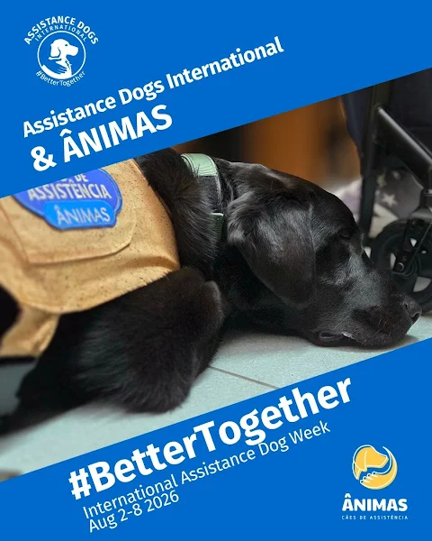 ÂNIMAS ASSOCIA-SE À CAMPANHA INTERNACIONAL #BetterTogether QUE DEFENDE PADRÕES RIGOROSOS NA FORMAÇÃO DE CÃES DE ASSISTÊNCIA