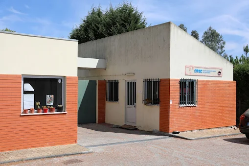 Cantanhede | Campanha de apoio à esterilização de animais de companhia decorre até dia 31 de agosto
