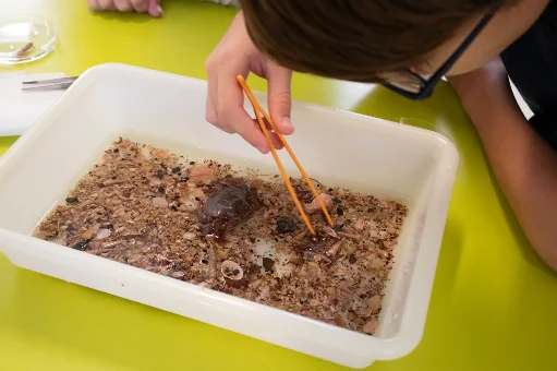 Fábrica Centro Ciência Viva de Aveiro convida a conhecer a biodiversidade marinha