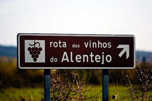 Enoturismo: Alentejo convida a viver as vindimas com mais de 20 programas de norte a sul da região