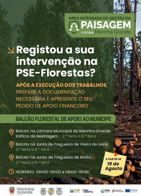 MUNICÍPIO DA MARINHA GRANDE DISPONIBILIZA BALCÃO FLORESTAL DE APOIO AO MUNÍCIPE