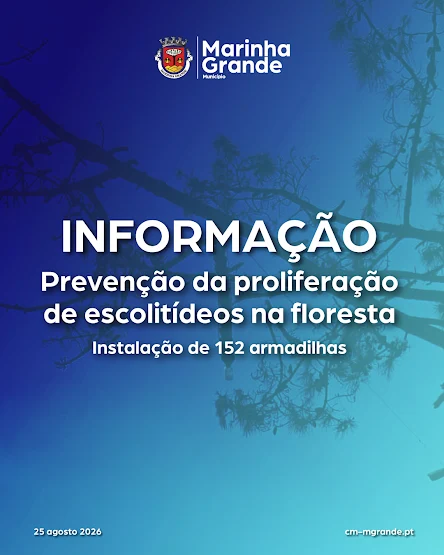 MUNICÍPIO DA MARINHA GRANDE INSTALA 152 ARMADILHAS PARA PREVENIR A PROLIFERAÇÃO DE ESCOLITÍDEOS NA FLORESTA
