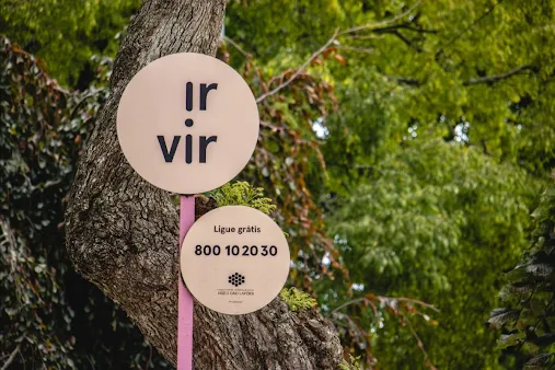 Serviço “IR e VIR” celebra cinco anos com mais de 66 mil passageiros transportados em Viseu Dão Lafões