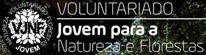 Voluntariado Jovem para a Natureza e Florestas 2019 | Candidaturas abertas para entidades promotoras