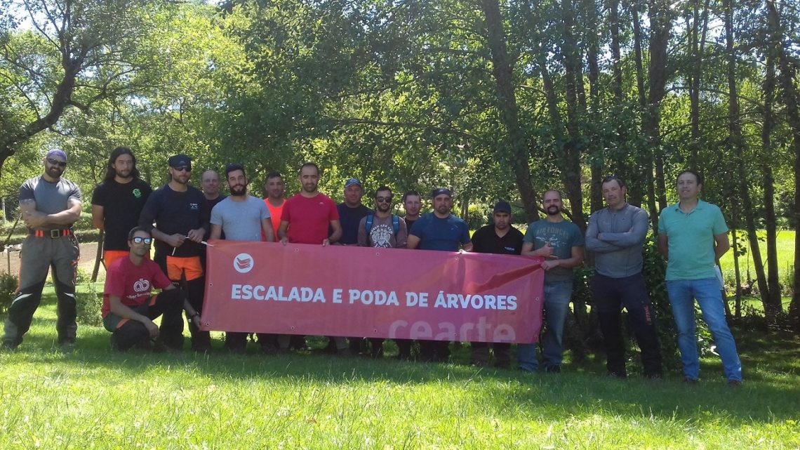 CEARTE forma “cirurgiões de árvores”
