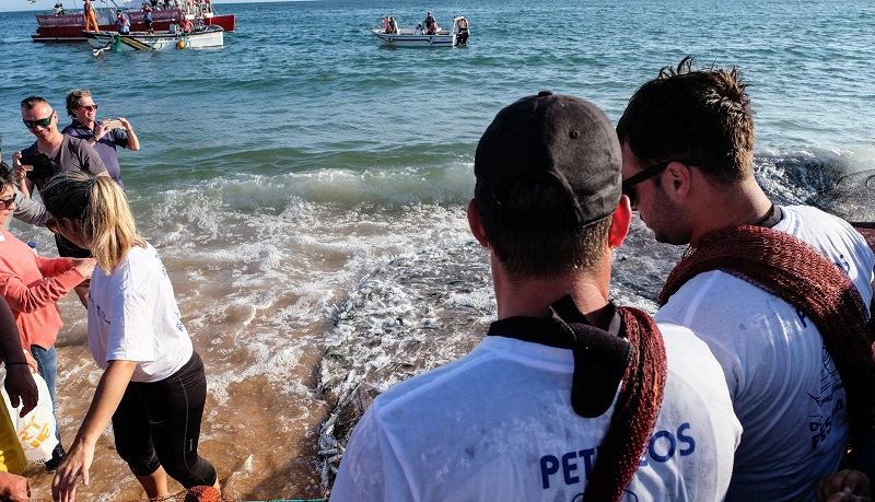 Sul | Quarteira recebe mais uma Festa dos Petiscos do Pescador