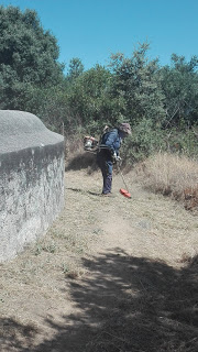Évora | de valorização do património cultural e natural: Limpeza do percurso pedestre do aqueduto da Água de Prata