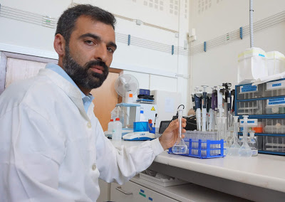 Coimbra | Alterações climáticas: cientistas estudam soluções para impedir o desaparecimento dos sapais estuarinos