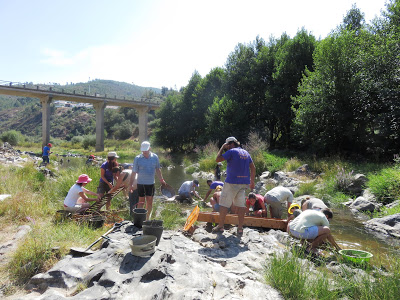 Proença-a-Nova | Ciência Viva no Verão em Rede em Proença-a-Nova com elevada procura