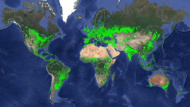 Mundo | Dados da NASA sobre a agricultura no Brasil