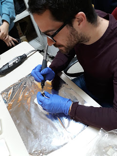 Universidade de Coimbra | Cientistas descobrem esqueletos de adolescentes do período das invasões bárbaras na Europa de Leste