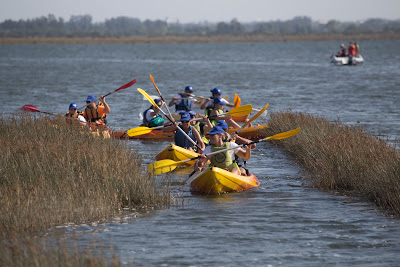 Região de Aveiro | A bordo de um kayak na Ria de Aveiro: este sábado à tarde com 275 participantes