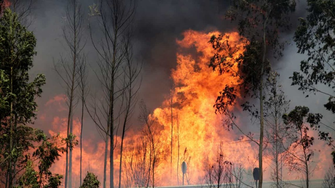 Situação de alerta: Proibição de queimadas e uso de fogo-de-artifício