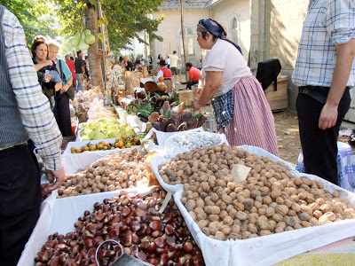 Norte | Regresso às origens em Castelo de Paiva