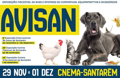 Ribatejo | Avisan’19 recebe Exposições Internacionais de Cães e Gatos