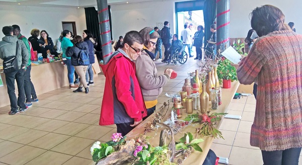 Coimbra | APCC convida a celebrar quadra natalícia e Formação Profissional com Mercado de Natal