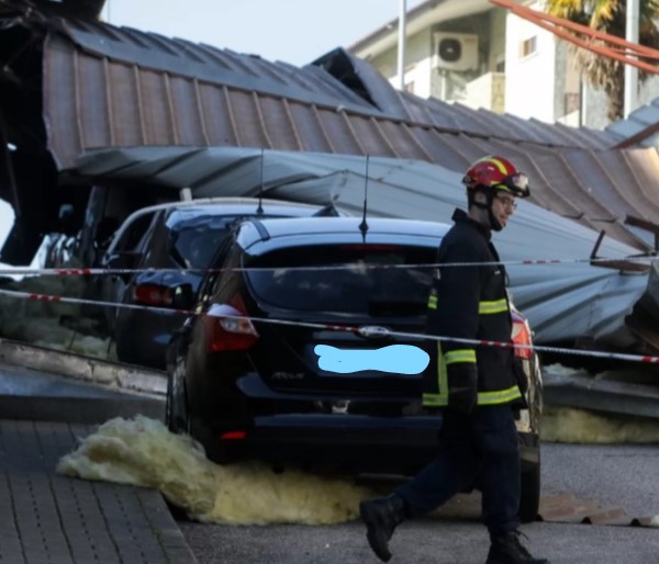 Mau tempo provoca 150 quedas de árvores no distrito de Coimbra