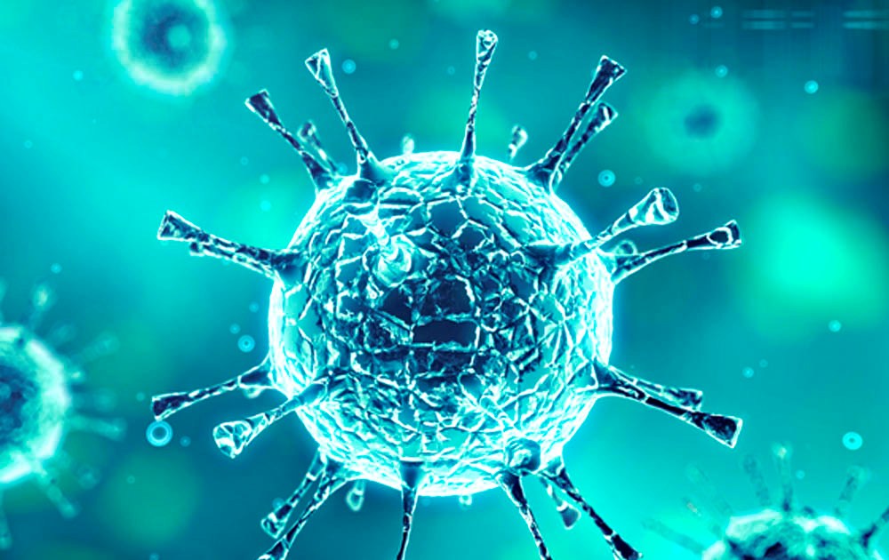SAÚDE | Cientistas descobrem centenas de novos vírus que podem ser transmitidos aos humanos!