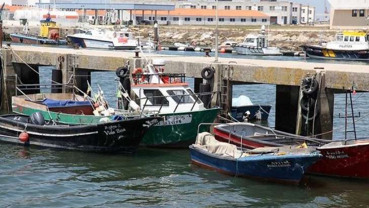 Covid-19: Apoio ao setor da Pesca e Aquicultura