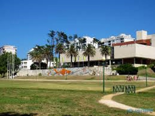 CAE da Figueira da Foz com atividades online, para vários públicos