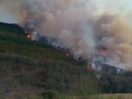 Covilhã | INTERDITA A REALIZAÇÃO DE QUEIMAS/QUEIMADAS, NO PERÍODO COMPREENDIDO ENTRE 9 E 13 DE ABRIL DE 2020