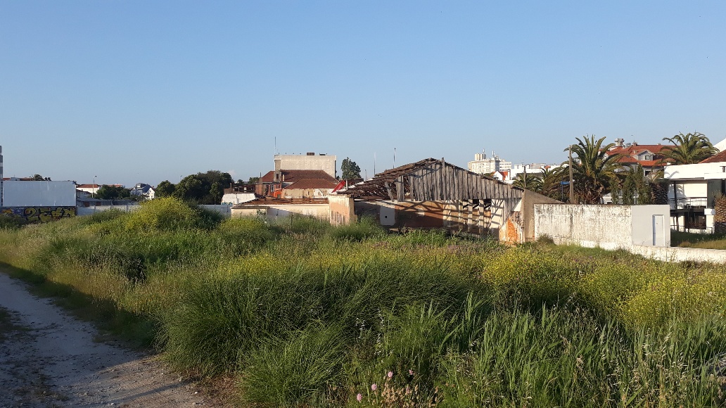 AVEIRO | DEMOLIÇÃO DO ANTIGO AQUARTELAMENTO DA POLÍCIA MARÍTIMA DO CAIS DO PARAÍSO