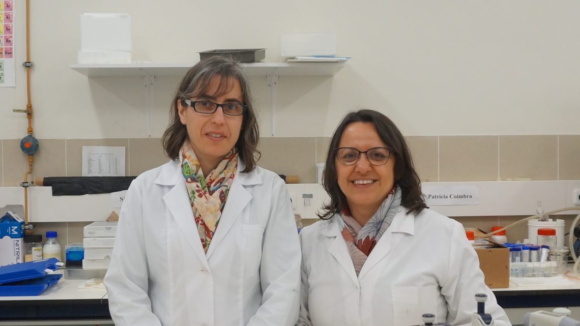 Investigadores da UC utilizam resíduos do fruto da nogueira para o combate a nemátodes parasitas de plantas