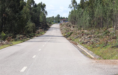 Proença-a-Nova | Limpeza das faixas de gestão de combustível na rede viária está em curso