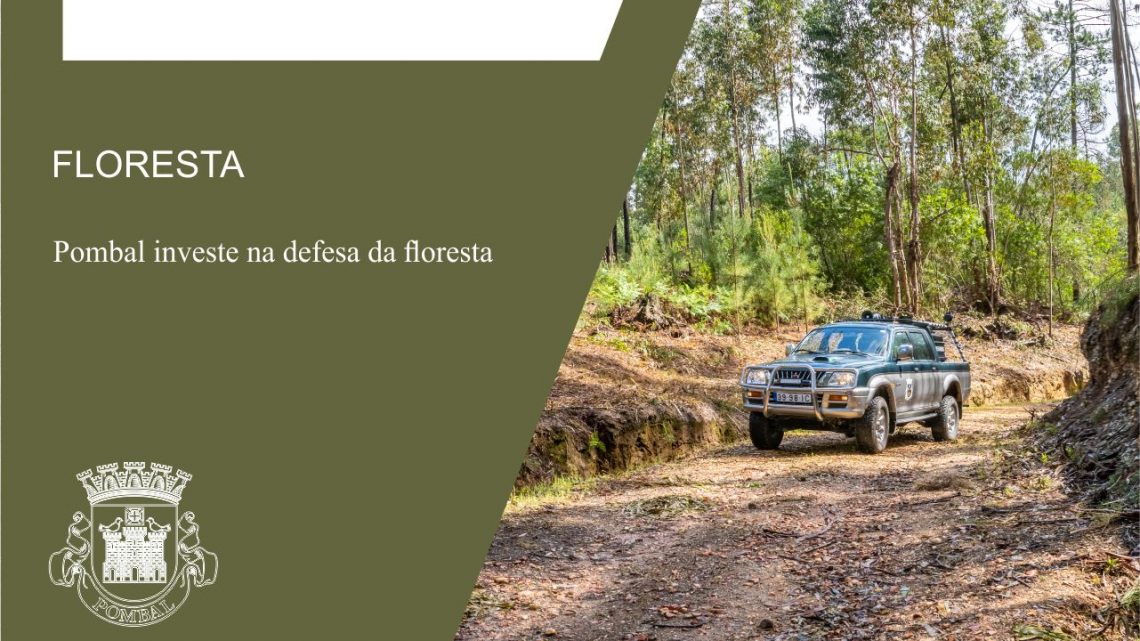 Pombal investe na defesa da floresta