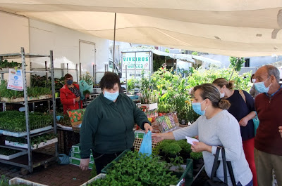 Castelo de Paiva | No amplo espaço do Mercado Quinzenal