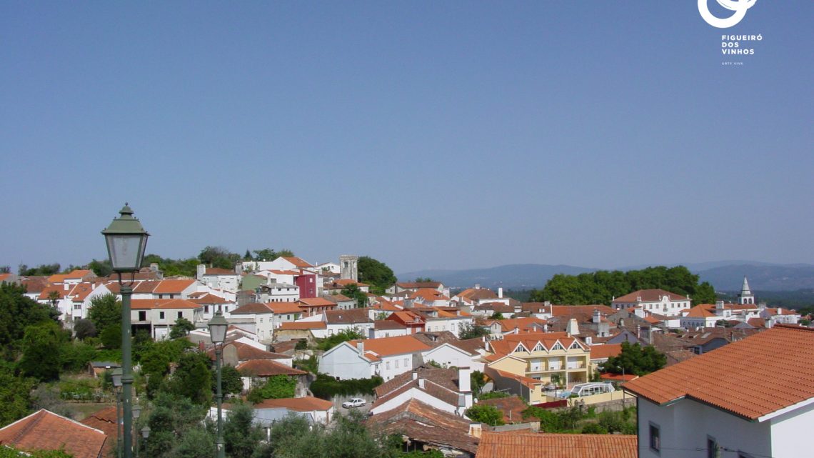Figueiró dos Vinhos | Covid-19: Aprovadas 5 novas medidas de apoio no concelho
