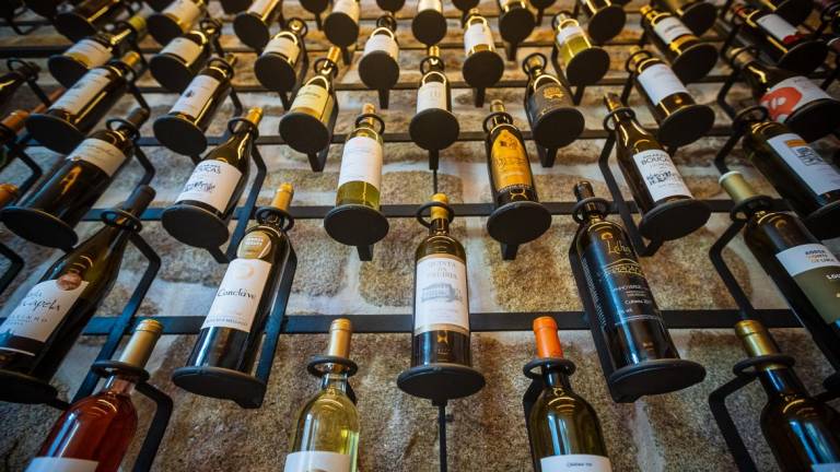 Governo aplica 10 milhões de Euros em apoios para o setor do vinho