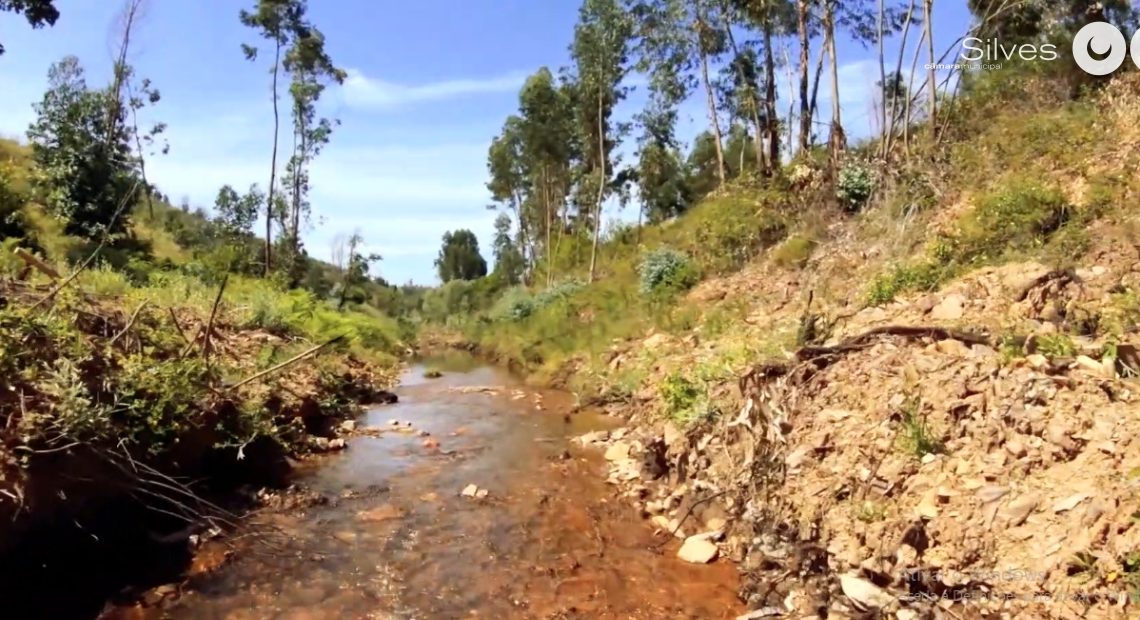 CÂMARA MUNICIPAL DE SILVES CONCLUIU TRABALHOS DE LIMPEZA DE LINHAS DE ÁGUA
