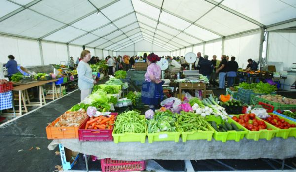 ENCERRAMENTO DO MERCADO MUNICIPAL MARINHA GRANDE