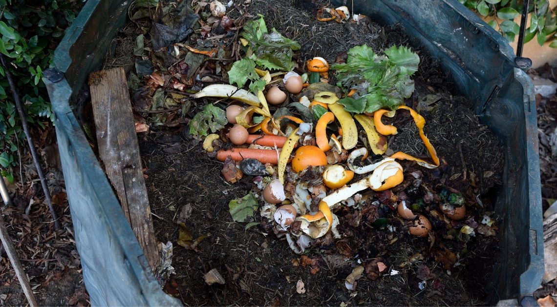 Município de Silves obteve aprovação de candidaturas comunitárias ao po seur para implementação de compostagem doméstica e comunitária e recolha seletiva de biorresíduos