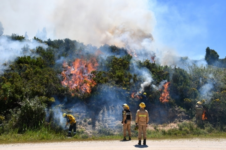 AÇÕES DE FOGO CONTROLADO PROSSEGUEM COM VISTA À PREVENÇÃO DE INCÊNDIOS