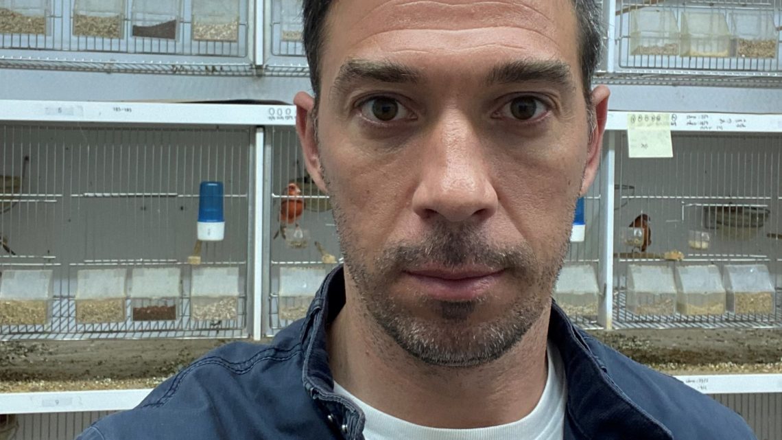 Universidade de Coimbra | Descoberta de gene responsável pelo dimorfismo sexual em aves é capa da revista Science