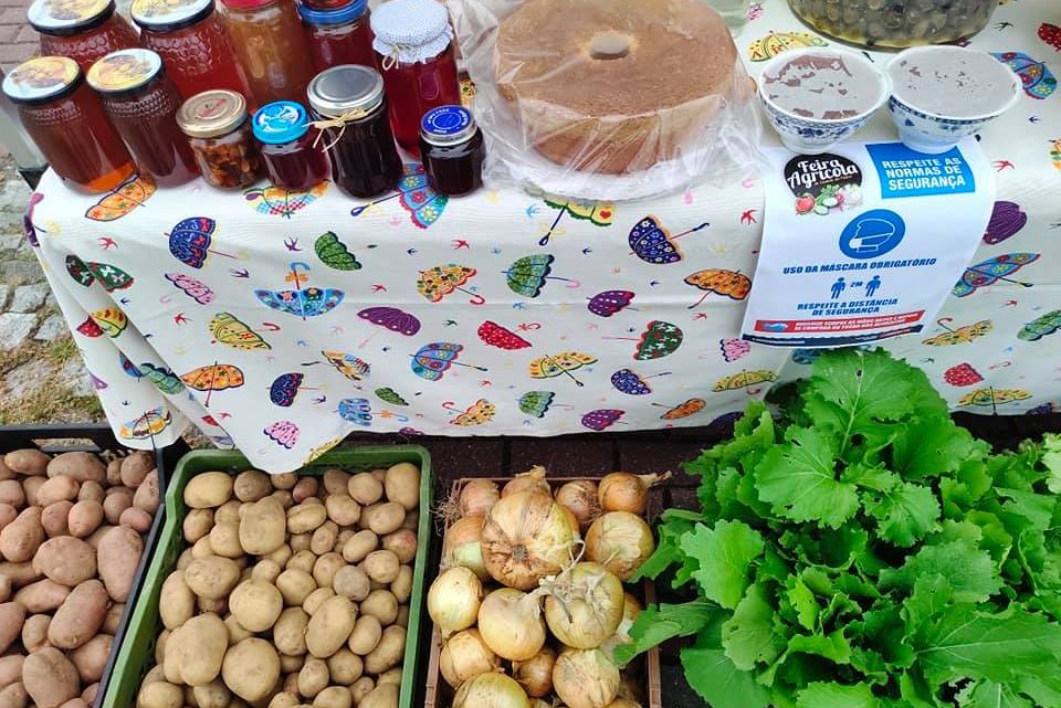 Castelo de Paiva | Novo espaço adequado ás regras de segurança