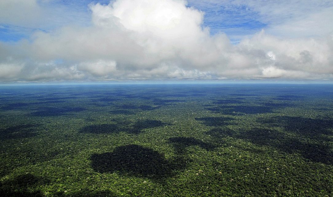 Um quarto de terras públicas da Amazónia brasileira tem registo ilegal de propriedade