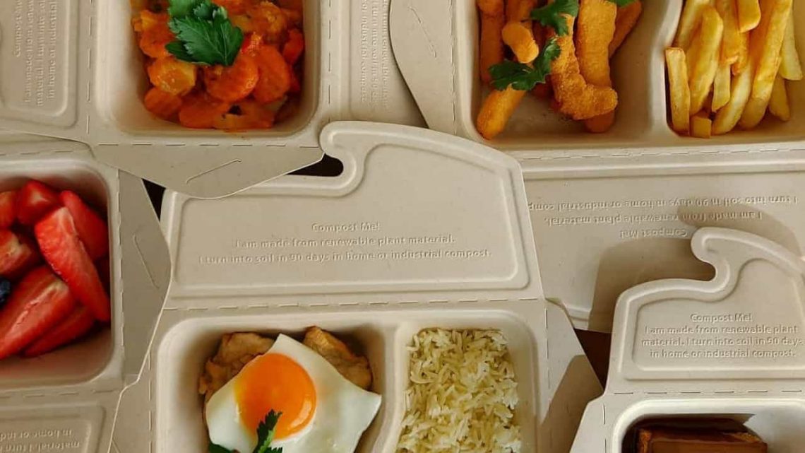 Marinha Grande | REFEIÇÕES E ATIVIDADES DE APOIO À FAMÍLIA GRATUITAS EM JUNHO E JULHO